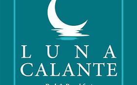 Luna Calante